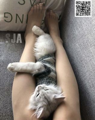 夏目彩春57部在线观看