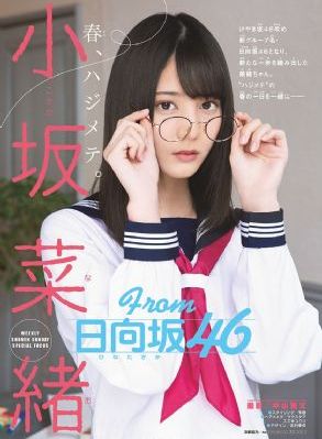 木府风云 电视剧免费观看全集
